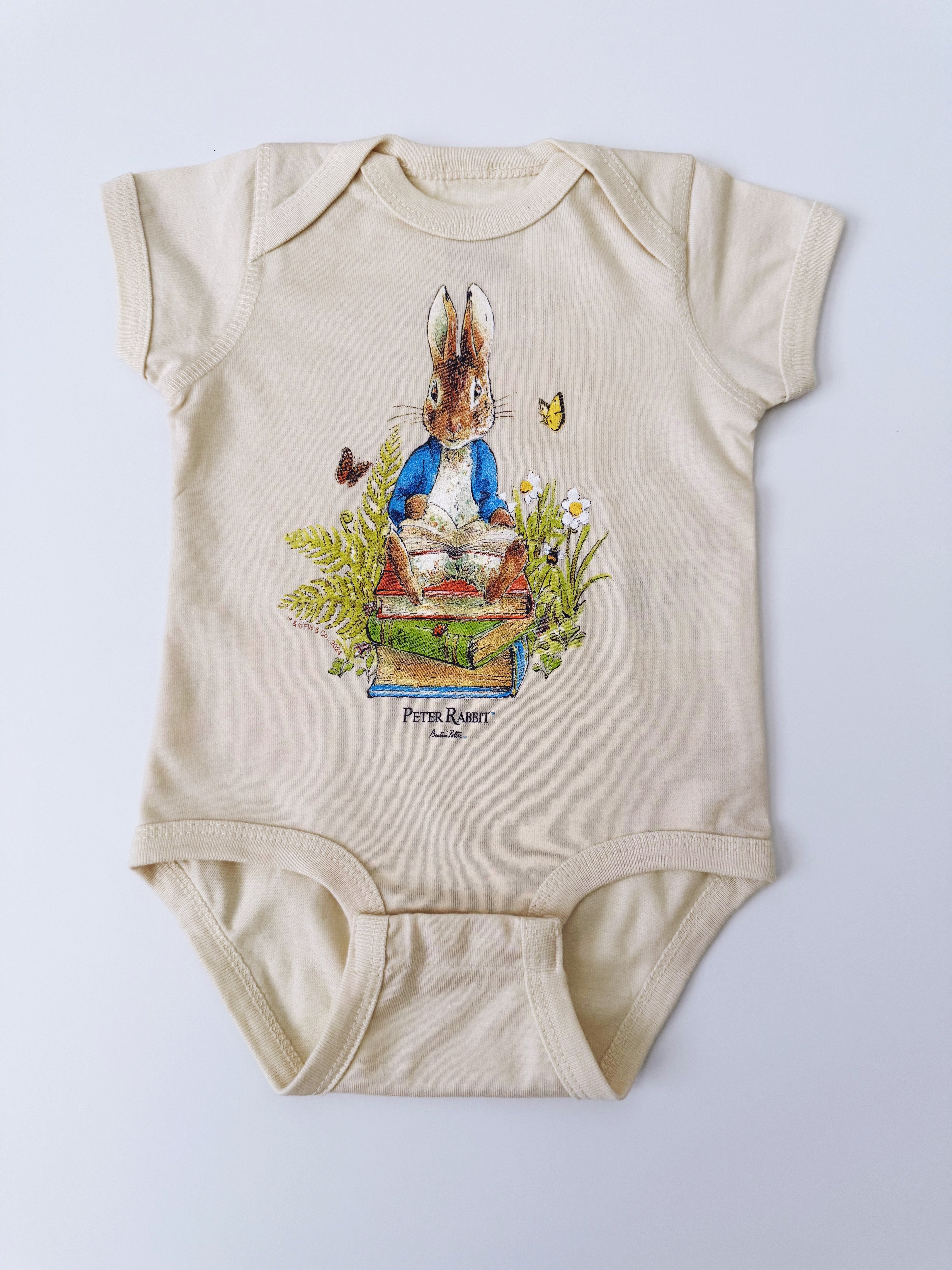 The Tale of Peter Rabbit Story Book