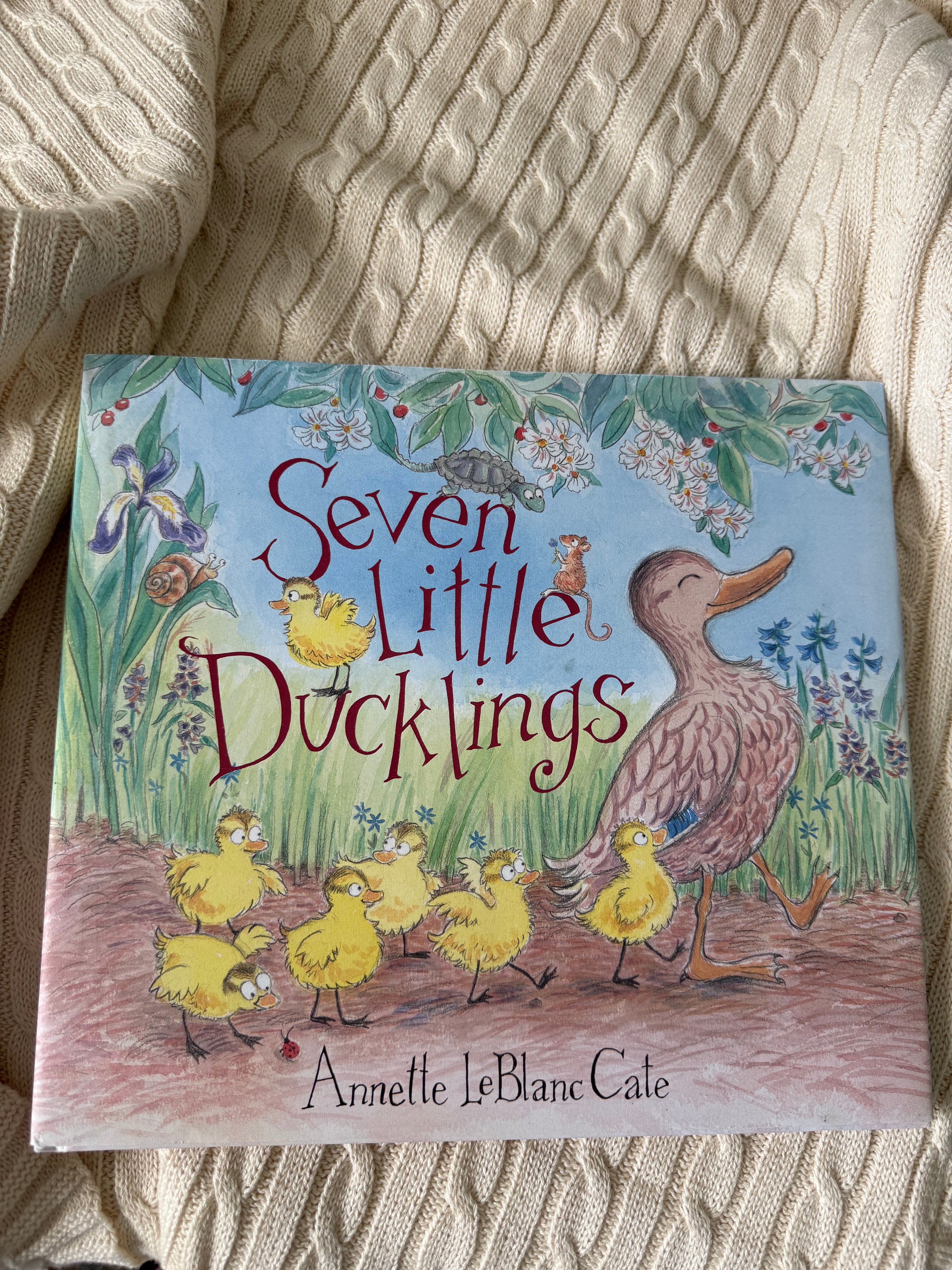 Seven Little Ducklings Story Book