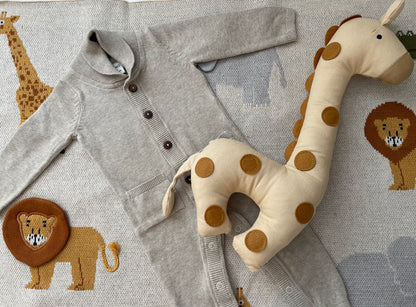 Baby Boy Curated Box Wild Safari