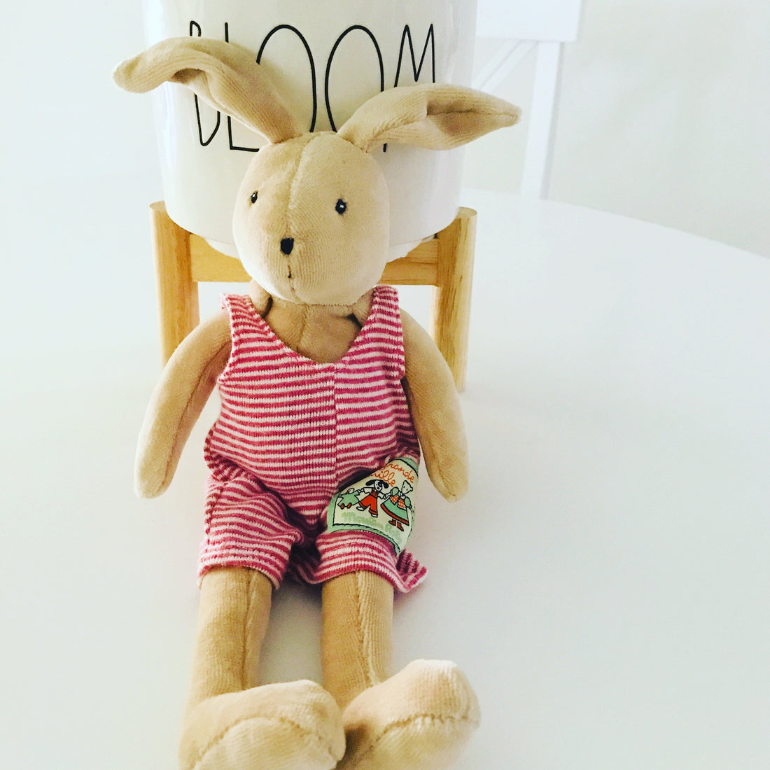 Little Rabbit Sylvain