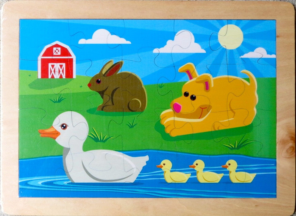  Duck Pond Puzzle